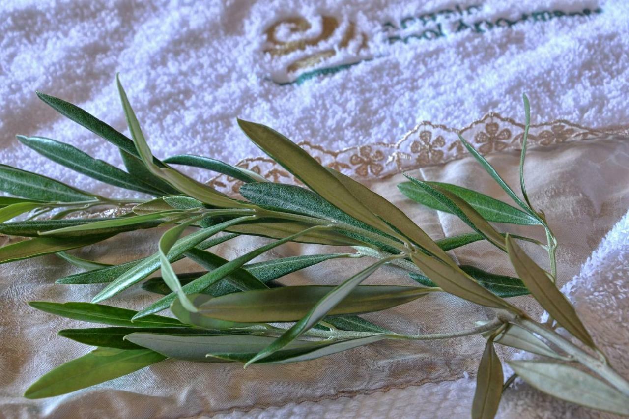 אגיוס גיורגיוס פגון Angela Pool Apartments מראה חיצוני תמונה